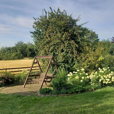Ferienwohnung Feld Und Wiese Höxter Buitenkant foto